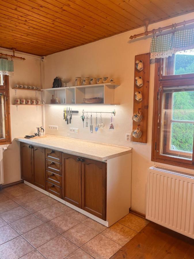 Villa Roubenka Jeseniky à Bridlicna Extérieur photo